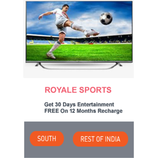 ROYALE SPORTS HD 12 MONTH