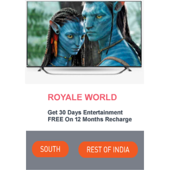 ROYALE WORLD HD 12 MONTH